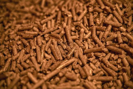 Photo for Detailed shot of wood pellets. Alternative eco fuel is made from renewable timber wood for the heating house. - Royalty Free Image