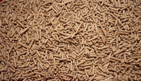 Photo for Flatlay of wood pellet. Macro shot of renewable and sustainable fuel. Pellet 6mm rolls is a byproduct of the wood industry - Royalty Free Image