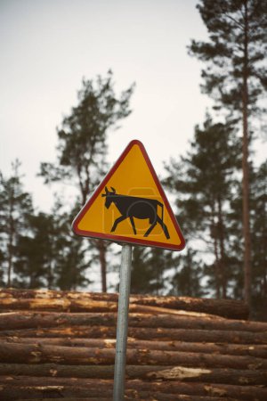 Téléchargez les photos : German road sign: domestic animals crossing - en image libre de droit