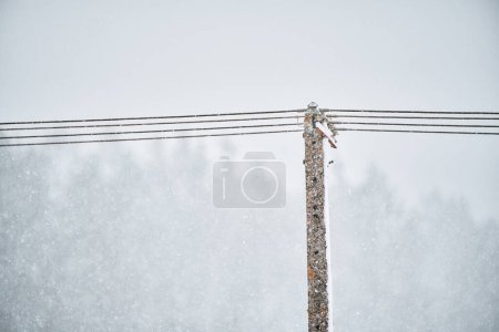 Photo for Heavy snow on electrical wires. Frozen electric wires in the city. Winter. Dangerous electricity wires. Uncleaned snow on wires. Old electrical cables. Old electrical technology - Royalty Free Image