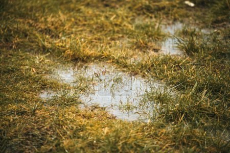 Téléchargez les photos : Problèmes de drainage et d'égouts pluviaux. Le sol hydrophobe et sec absorbe à peine l'eau. Eau stagnante dans la cour - en image libre de droit