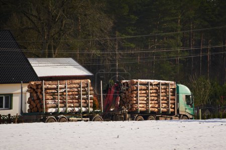 Photo for Log load in the winter. A loaded logging truck leaves the forestry site to transport wood logs to the sawmill or for export - Royalty Free Image