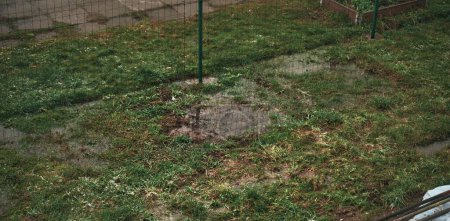 Téléchargez les photos : Flaques d'eau sur l'herbe. le gravier et l'argile ne peuvent pas absorber l'eau de pluie. - en image libre de droit