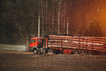 Photo for Tree trunk logs loaded on a truck - Royalty Free Image