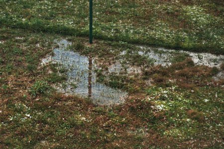 Foto de Problemas de drenaje y alcantarillado. El suelo hidrofóbico y seco apenas absorbe agua. Agua estancada en el patio - Imagen libre de derechos