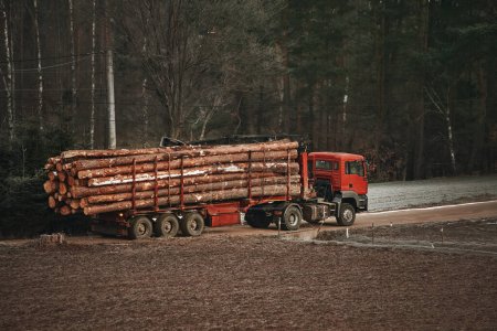 Téléchargez les photos : Transport de camions billes d'arbres. Camion bûcheron transporte des grumes sur la route en hiver. - en image libre de droit
