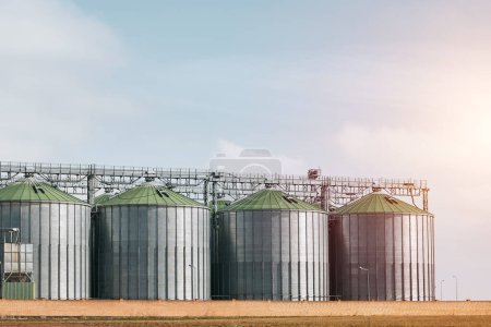 Un grand réservoir de stockage de grain avec un toit vert se trouve dans un champ.