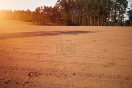 Téléchargez les photos : Un champ non planté le matin. Les terres agricoles dans le pays. Gros plan sur le sol. - en image libre de droit