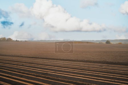Téléchargez les photos : Un champ non planté le matin. Les terres agricoles dans le pays. Gros plan sur le sol. - en image libre de droit