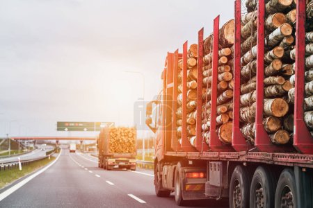 Foto de El camión está transportando troncos en un semirremolque en una carretera suburbana de asfalto en un día de verano. Concepto de importación comercial de madera en Europa. - Imagen libre de derechos