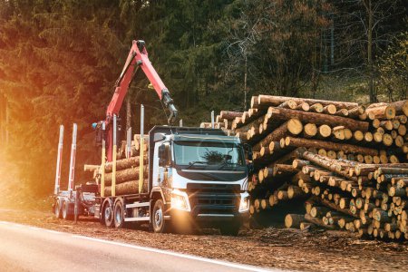 Téléchargez les photos : Exploitation forestière dans les Alpes suisses : Chargement des grumes sur les machines hydrauliques d'un camion forestier - en image libre de droit