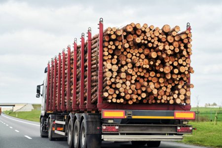 Foto de Transporte comercial de madera. Trucking Logs on a Summer Day along a Suburban Highway (en inglés). Concepto de importación comercial de madera en Europa. - Imagen libre de derechos