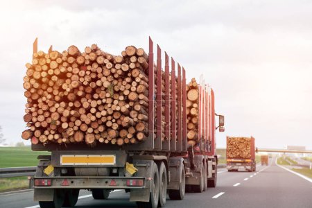 Foto de Transporte comercial de madera. Trucking Logs on a Summer Day along a Suburban Highway (en inglés). Concepto de importación comercial de madera en Europa. - Imagen libre de derechos