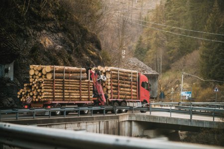 Photo for Italy, Europe 16.04.2023: Logging Operations in the Alps: Loading Logs onto Hydraulic Machinery on a Logging Truck - Royalty Free Image