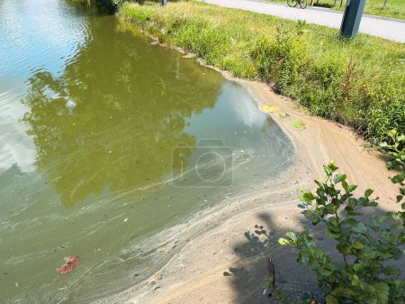 Photo for Water Contamination and Environmental Impact. Bad ecology. Polluted water. No swimming. - Royalty Free Image