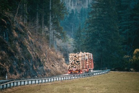 Téléchargez les photos : Un jour d'été, un camion transporte des billes sur une semi-remorque sur une route goudronnée de banlieue. Concept importation commerciale de bois en Europe. - en image libre de droit