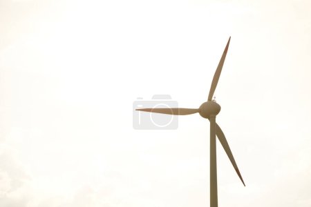 Foto de Turbinas eólicas en un parque eólico en un hermoso entorno natural en un soleado día de verano. Las energías renovables en Europa - Imagen libre de derechos