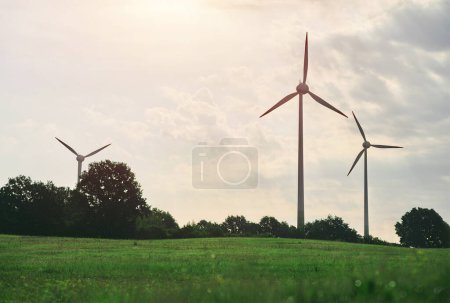 Foto de Turbinas eólicas en un parque eólico en un hermoso entorno natural en un soleado día de verano. Las energías renovables en Europa - Imagen libre de derechos