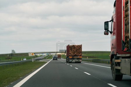 Téléchargez les photos : Un jour d'été, un camion transporte des billes sur une semi-remorque sur une route goudronnée de banlieue. Concept importation commerciale de bois en Europe. - en image libre de droit