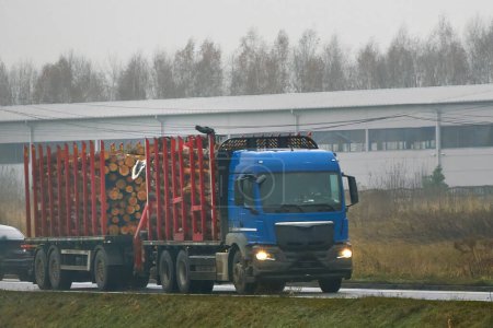 Téléchargez les photos : A log carrier transports a cargo of timber on a road. The truck is a semi-truck with a trailer that is stacked with logs. The truck is involved in the logging industry that delivers wood from forests. - en image libre de droit