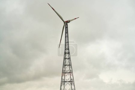 Nutzung der Windkraft für nachhaltige Energie