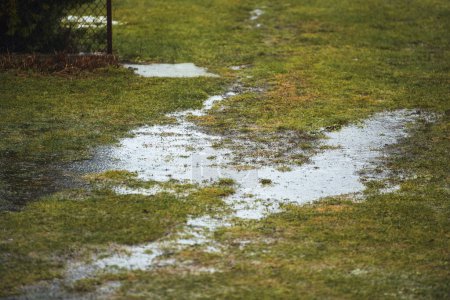 Téléchargez les photos : L'eau stagnante et le sol hydrophobe peuvent causer de l'érosion et des dommages à l'eau dans les cours et les champs agricoles - en image libre de droit