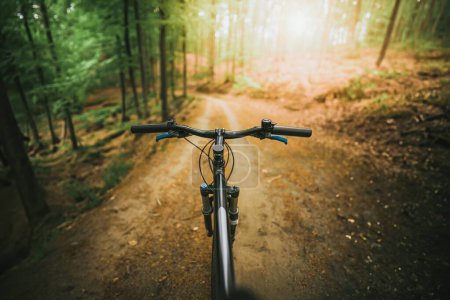 Die Natur mit dem Fahrrad im Wald erkunden