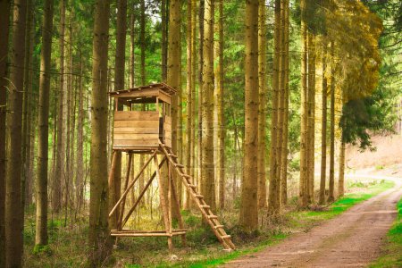 Hidden Watchtower: Ein Wachposten zur Beobachtung der Waldwildtiere