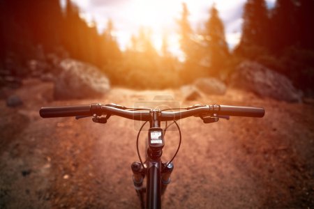 Ciclismo de la vista de caminos boscosos desde el manillar de la bicicleta