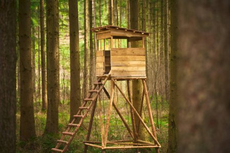 Hidden Watchtower: Ein Wachposten zur Beobachtung der Waldwildtiere