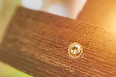 Macro view of hex bolt in wooden plank