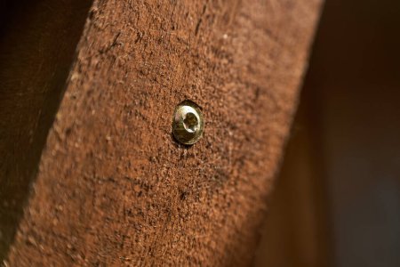 Detailed view of hex bolt in wooden plank