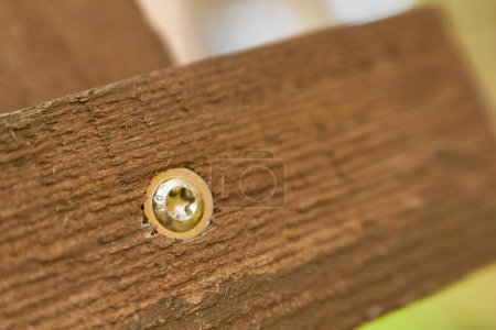 Detailed view of hex bolt in wooden plank