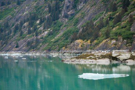 Téléchargez les photos : Eau verte profonde et calme avec glace éparse dans le bras Endicott, Alaska, États-Unis - en image libre de droit