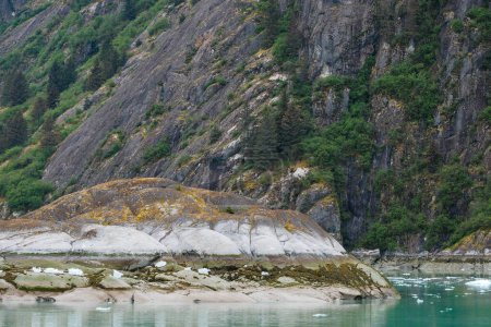 Téléchargez les photos : Ligne de marée rocheuse avec glace éparse dans le bras Endicott, Alaska, États-Unis - en image libre de droit
