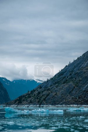 Téléchargez les photos : Les floes glacés et le flanc de colline souhaitent des nuages bas à Endicott Arm, Alaska - en image libre de droit