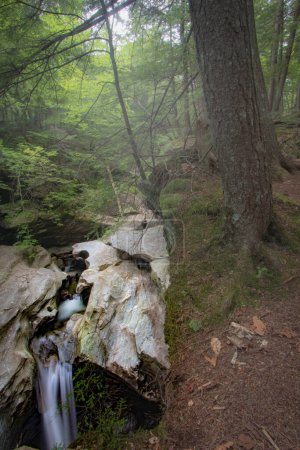 Téléchargez les photos : Gouttes d'eau Ilky de ruisseau rocheux dans la matinée brumeuse dans le Vermont - en image libre de droit