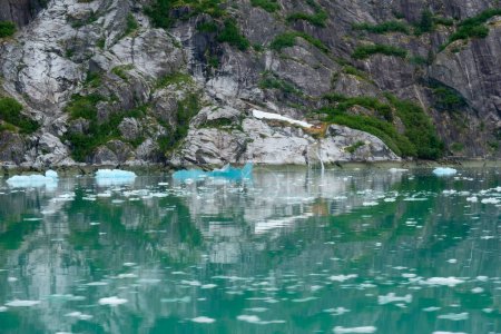 Téléchargez les photos : Glace bleue flottante et croissance verte parmi les structures géologiques à Endicott Arm près du glacier Dawes - en image libre de droit