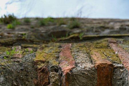 Téléchargez les photos : L'efflorescence sur la brique. Maçonnerie antique recouverte d'un revêtement blanc. Photo de haute qualité - en image libre de droit