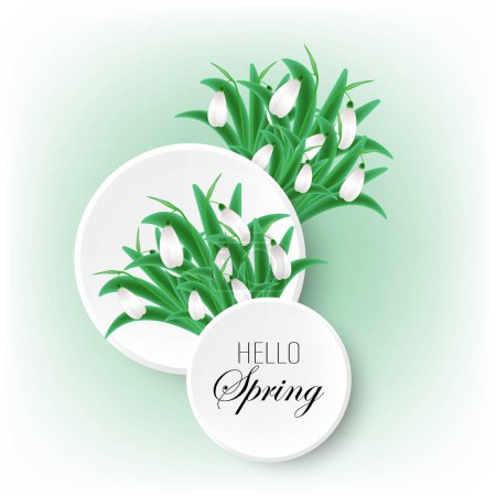 Galanthus flowers with green leaves on abstract background, spring greeting background with round frames. Vector eps10
