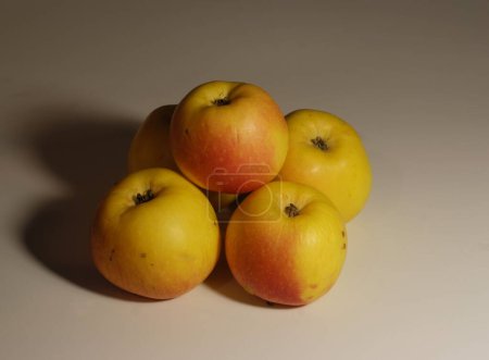 Photo for Several ordinary apples photographed against a gray background. - Royalty Free Image