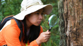 Female scientist ecologist studying plants in forest looking at trunk with magnifying glass. Female environmental scientist holding a magnifying glass to explore plants. Botanical scientist. t-shirt #626449354