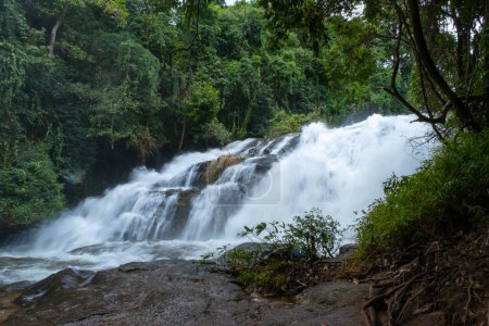 Foto de Hermosa cascada en la selva tropical con agua clara. Arroyo corriendo rápido en el bosque verde en la temporada de lluvias. Paisaje tranquilo y tranquilo de la naturaleza - Imagen libre de derechos
