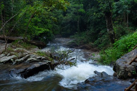 Foto de Hermosa cascada en la selva tropical con agua clara. Arroyo corriendo rápido en el bosque verde en la temporada de lluvias. Paisaje tranquilo y tranquilo de la naturaleza - Imagen libre de derechos
