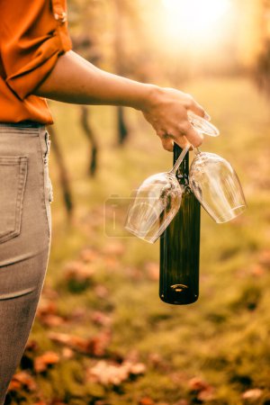 Foto de Mujer sosteniendo botellas y dos copas de vino en el viñedo al atardecer. - Imagen libre de derechos