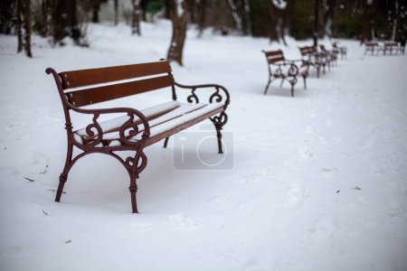 Photo for Park bench covered by heavy snow - Royalty Free Image