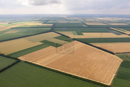 Photo for Aerial view of fields with various types of agriculture. - Royalty Free Image