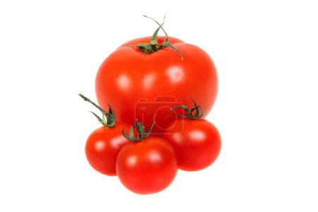 Photo for Cherry and normal tomatoes, isolated - Royalty Free Image