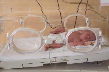 Téléchargez les photos : Nouveau-né prématuré dans l'incubateur de l'hôpital. Unité néonatale de soins intensifs - en image libre de droit