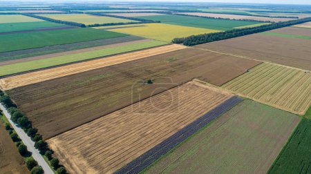 Foto de Vista aérea de campos con diversos tipos de agricultura. - Imagen libre de derechos